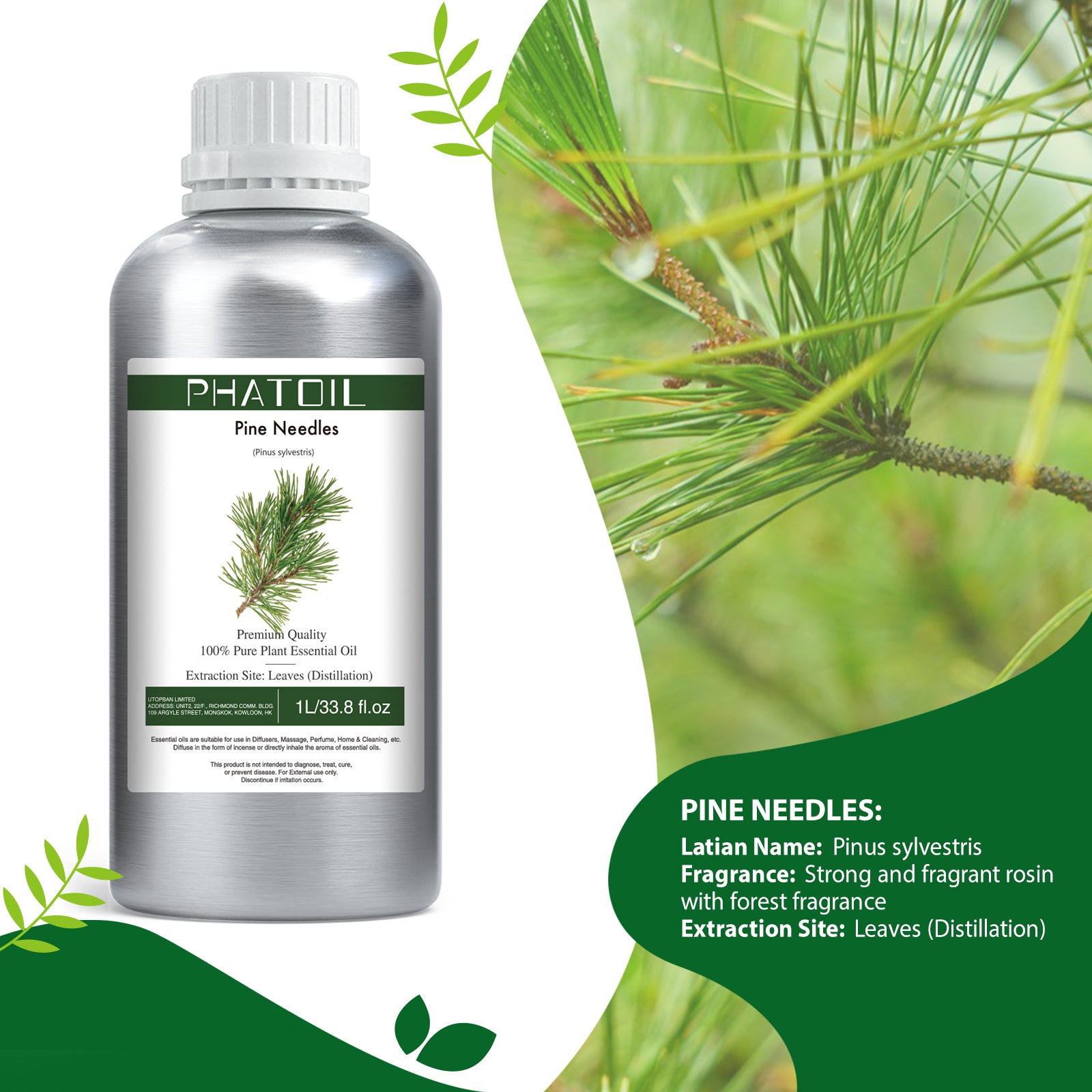 pine needles essential oil